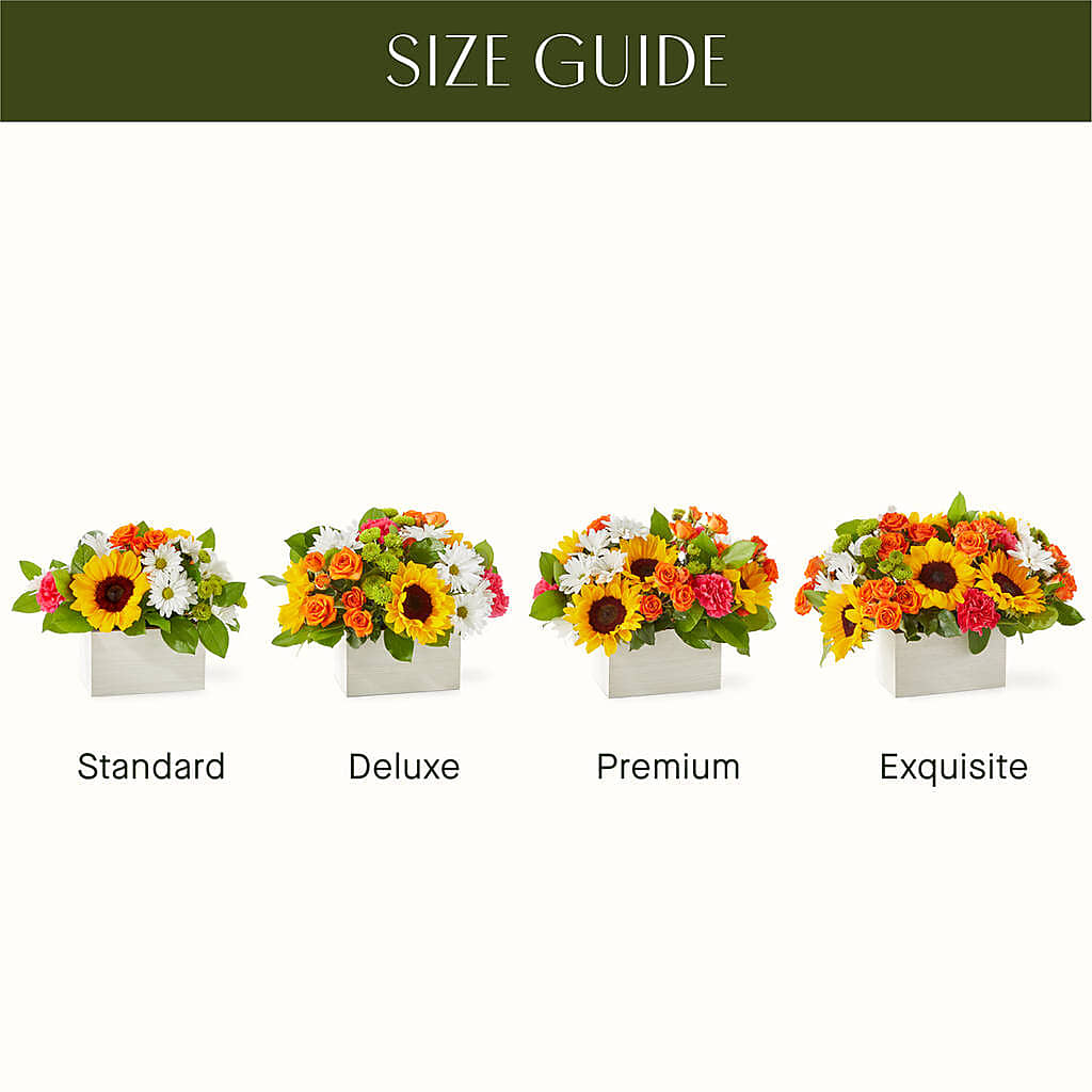 Sun-drenched Blooms Box Bouquet – CASSIDY'S FLOWERS, Newmarket ON
