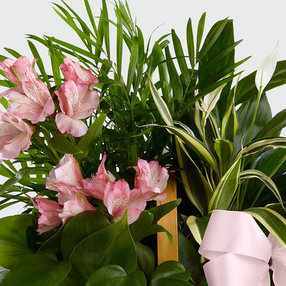 Living Spirit Dishgarden – CASSIDY'S FLOWERS, Newmarket ON