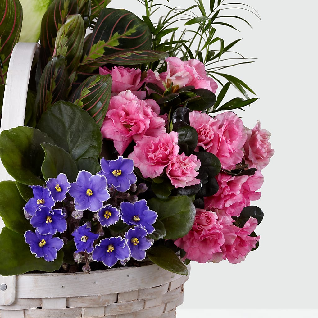 Peaceful Garden Planter – CASSIDY'S FLOWERS, Newmarket ON
