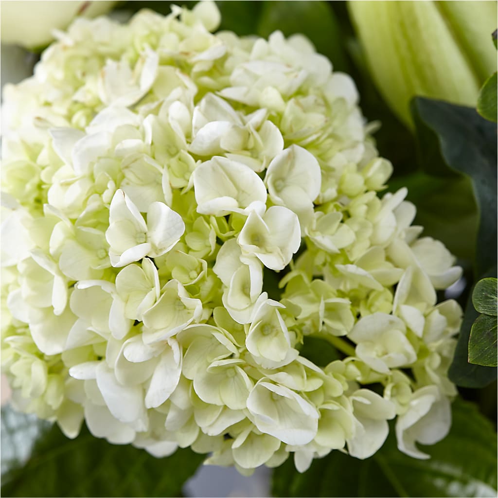 Classic Ivory – A Florist Original – CASSIDY'S FLOWERS, Newmarket ON