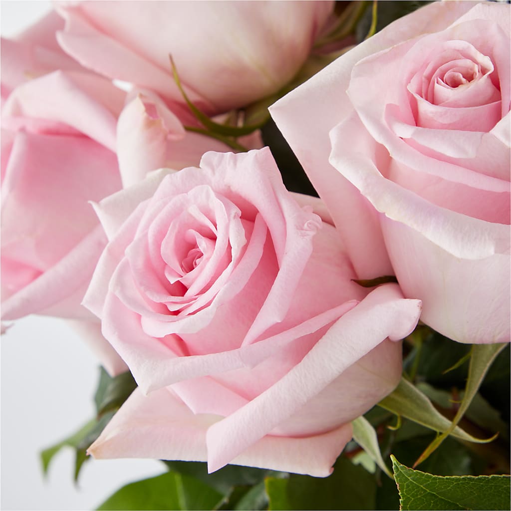Picture Perfect Pink Rose Bouquet – CASSIDY'S FLOWERS, Newmarket ON