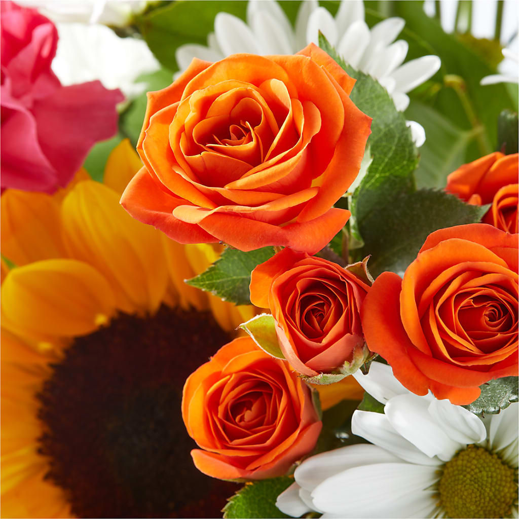 Sun-drenched Blooms Bouquet – CASSIDY'S FLOWERS, Newmarket ON