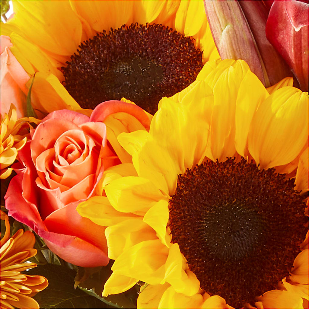 Acorn Lane Bouquet – CASSIDY'S FLOWERS, Newmarket ON