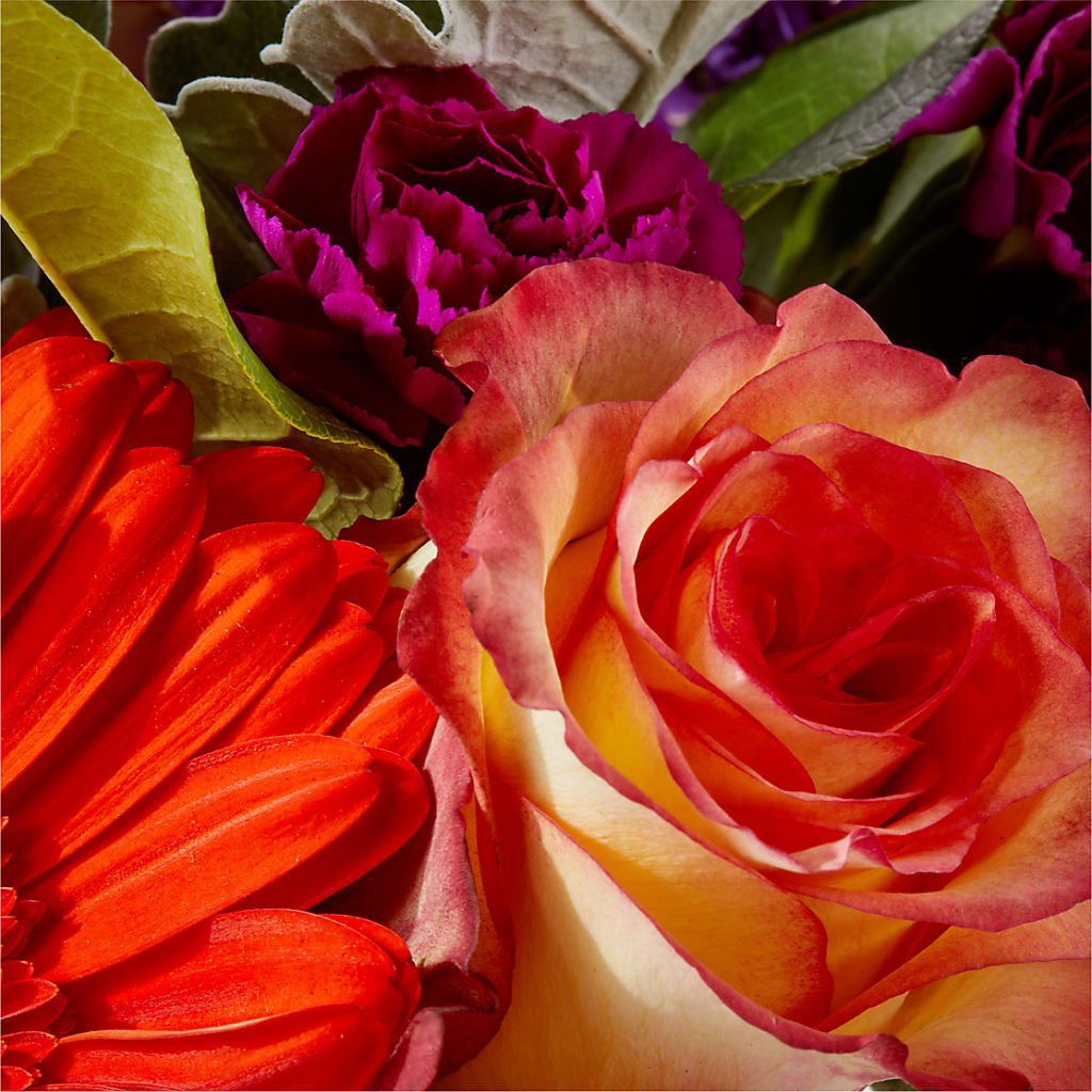 Sangria Bouquet – CASSIDY'S FLOWERS, Newmarket ON
