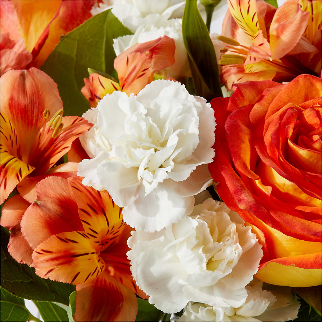 Apricot Glow Bouquet – CASSIDY'S FLOWERS, Newmarket ON