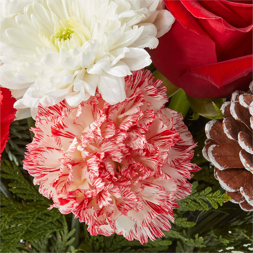 Candy Cane Lane Bouquet – CASSIDY'S FLOWERS, Newmarket ON