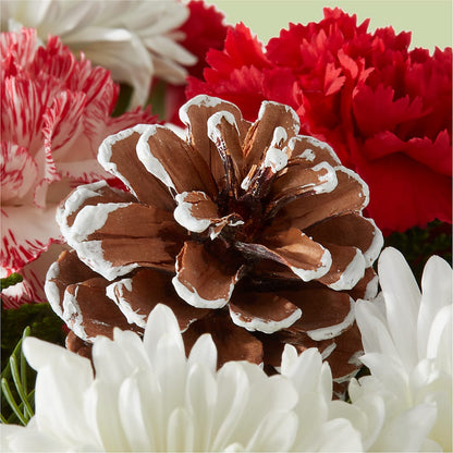 Candy Cane Lane Bouquet – CASSIDY'S FLOWERS, Newmarket ON
