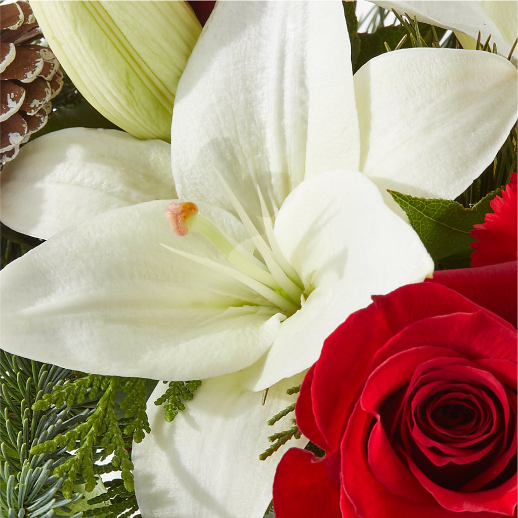 Oh So Jolly Bouquet – CASSIDY'S FLOWERS, Newmarket ON