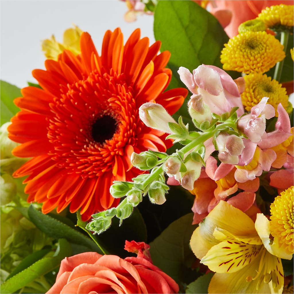Autumn Sunshine Bouquet – CASSIDY'S FLOWERS, Newmarket ON