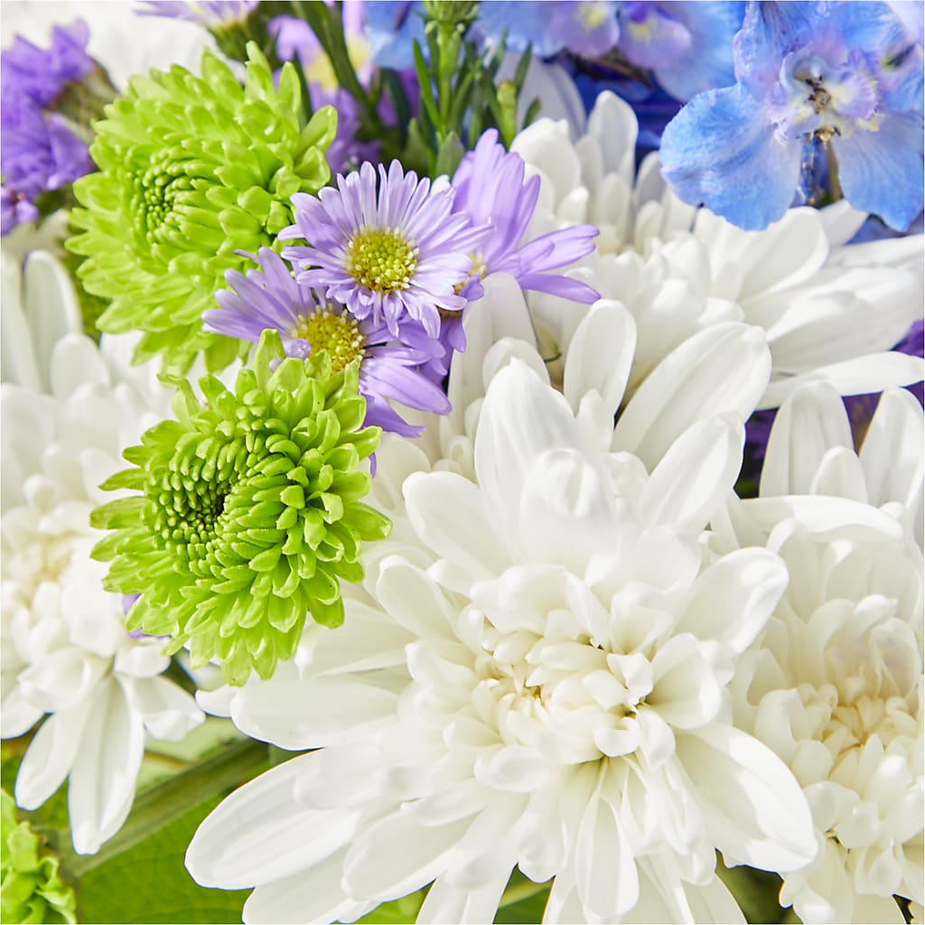 Genuine Gestures Bouquet – CASSIDY'S FLOWERS, Newmarket ON