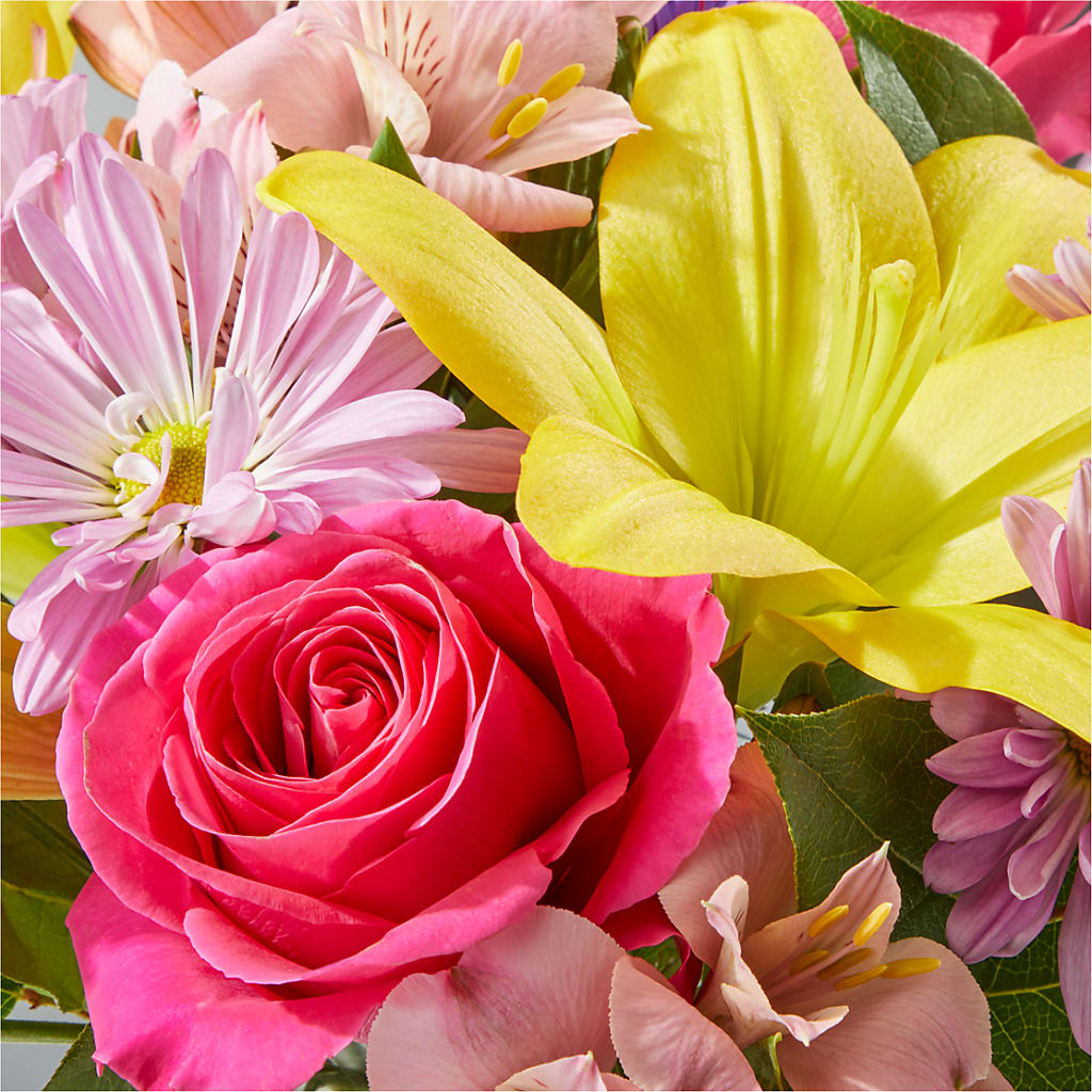 Sprinkles Bouquet – CASSIDY'S FLOWERS, Newmarket ON