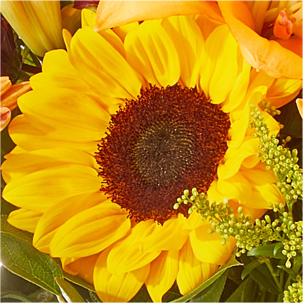 Seasons Change Bouquet – CASSIDY'S FLOWERS, Newmarket ON