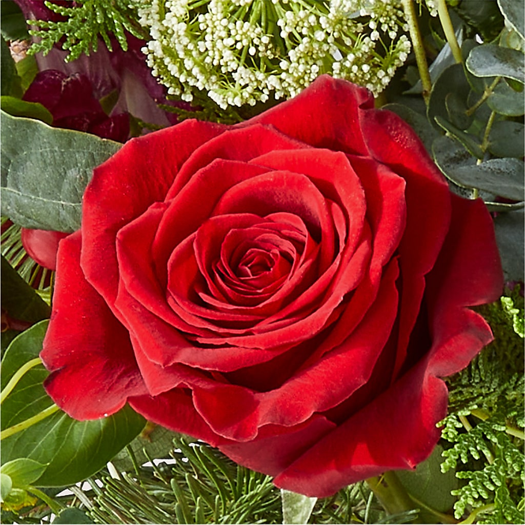 Cranberry Fizz Bouquet – CASSIDY'S FLOWERS, Newmarket ON