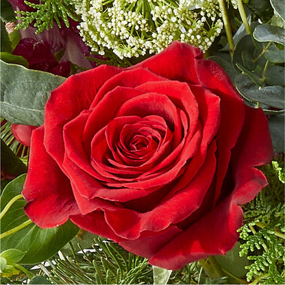 Cranberry Fizz Bouquet – CASSIDY'S FLOWERS, Newmarket ON