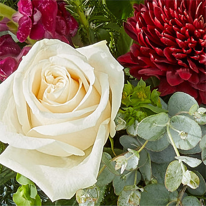 Cranberry Fizz Bouquet – CASSIDY'S FLOWERS, Newmarket ON