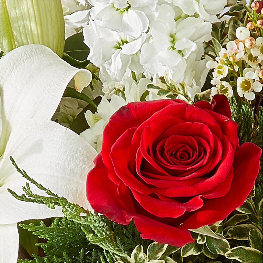 Twinkle Lights Bouquet – CASSIDY'S FLOWERS, Newmarket ON