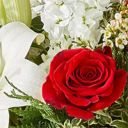Twinkle Lights Bouquet – CASSIDY'S FLOWERS, Newmarket ON