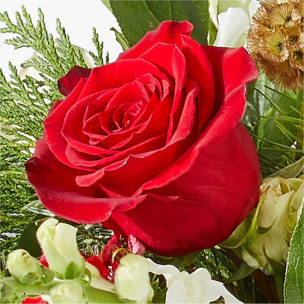 Deck the Halls Bouquet – CASSIDY'S FLOWERS, Newmarket ON