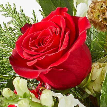 Deck the Halls Bouquet – CASSIDY'S FLOWERS, Newmarket ON
