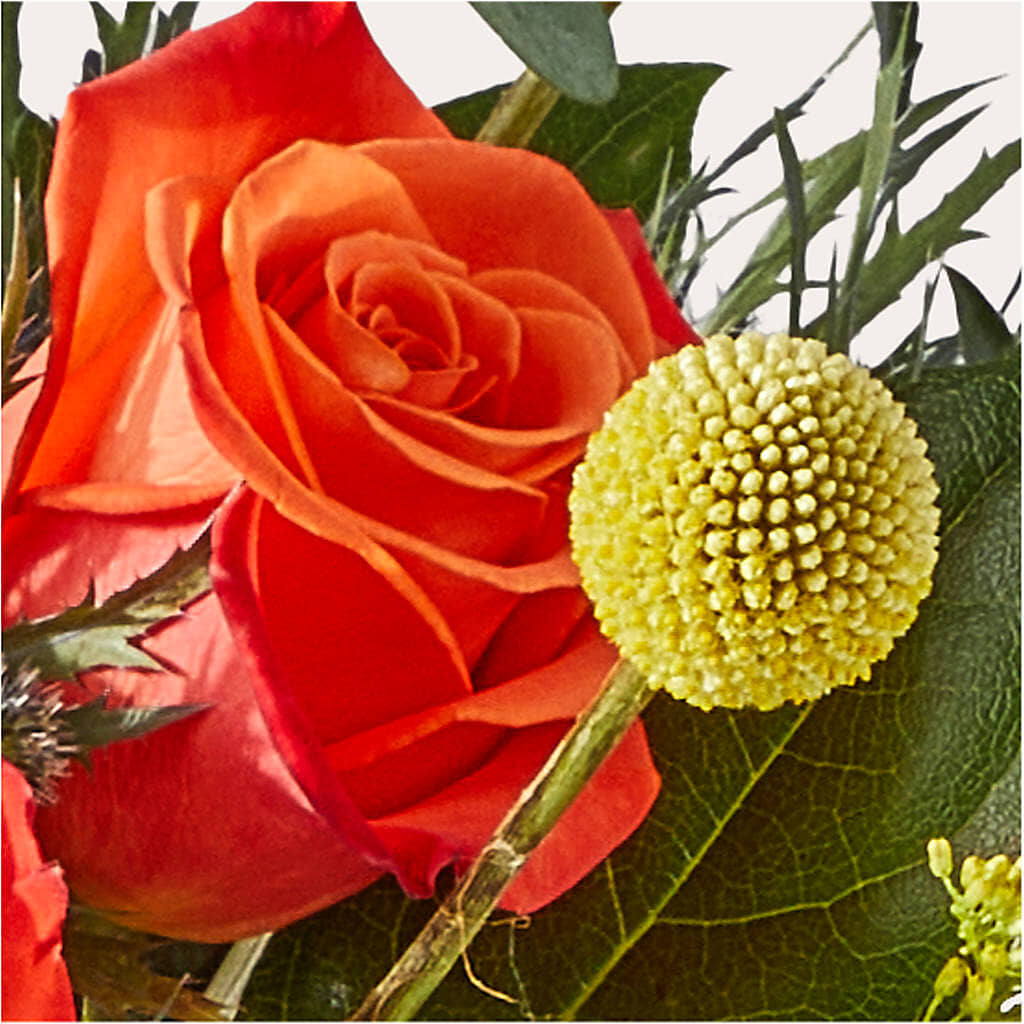 Disco Bouquet – CASSIDY'S FLOWERS, Newmarket ON