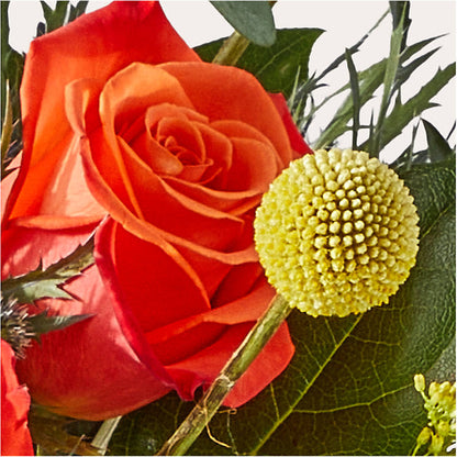 Disco Bouquet – CASSIDY'S FLOWERS, Newmarket ON