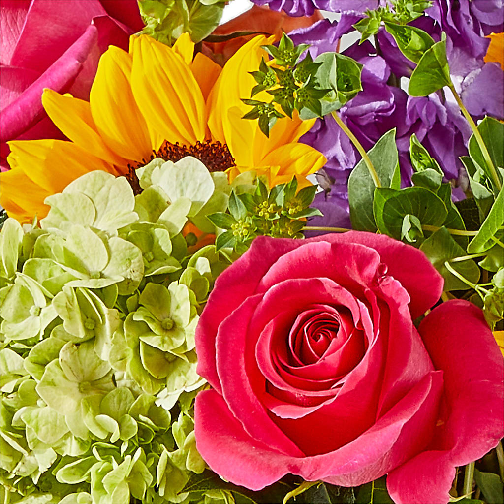 Vibrant Greetings Bouquet – CASSIDY'S FLOWERS, Newmarket ON