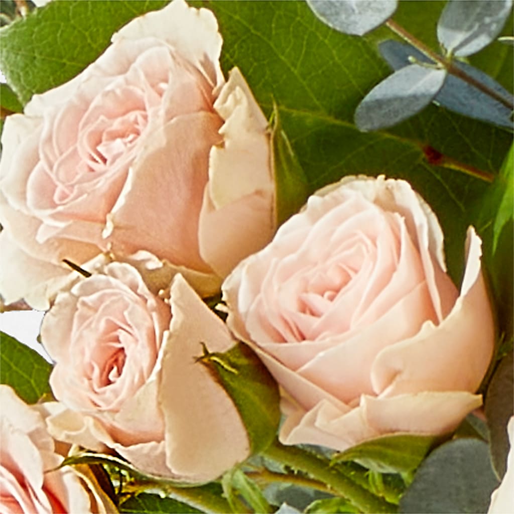 Inspired Bouquet – CASSIDY'S FLOWERS, Newmarket ON