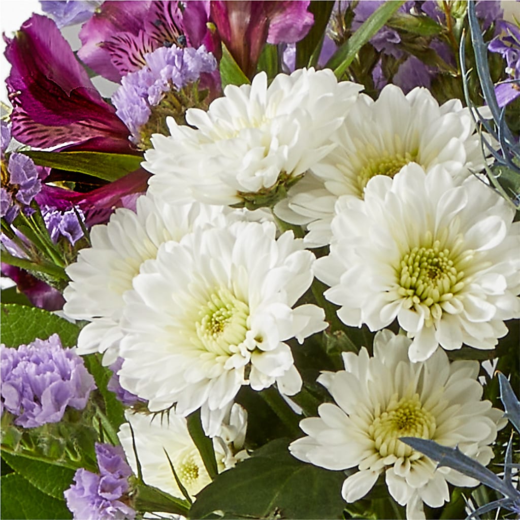 Shooting Star Bouquet – CASSIDY'S FLOWERS, Newmarket ON