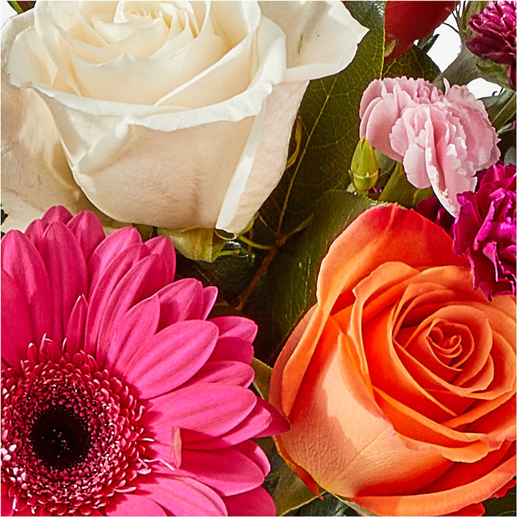 Smell the Roses Bouquet – CASSIDY'S FLOWERS, Newmarket ON