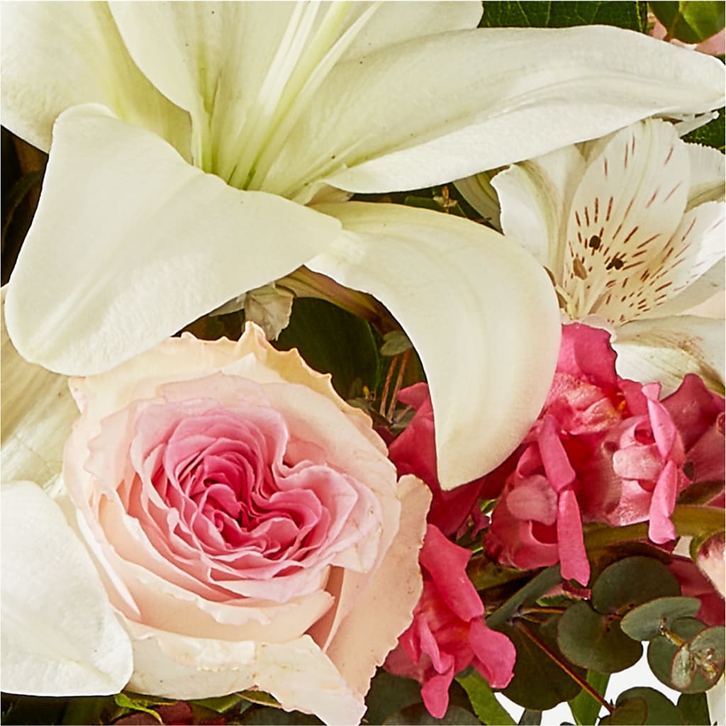 Ballet Slippers Bouquet – CASSIDY'S FLOWERS, Newmarket ON
