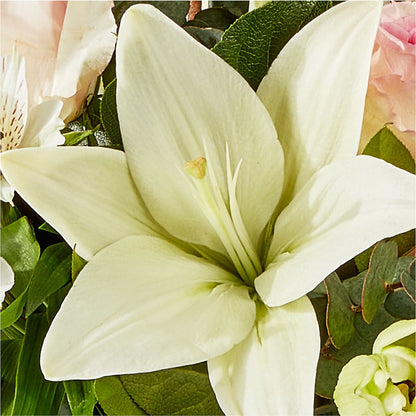 Ballet Slippers Bouquet – CASSIDY'S FLOWERS, Newmarket ON