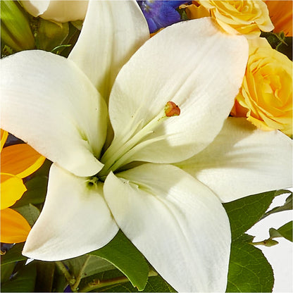 Wonderfully Sunny Bouquet – CASSIDY'S FLOWERS, Newmarket ON