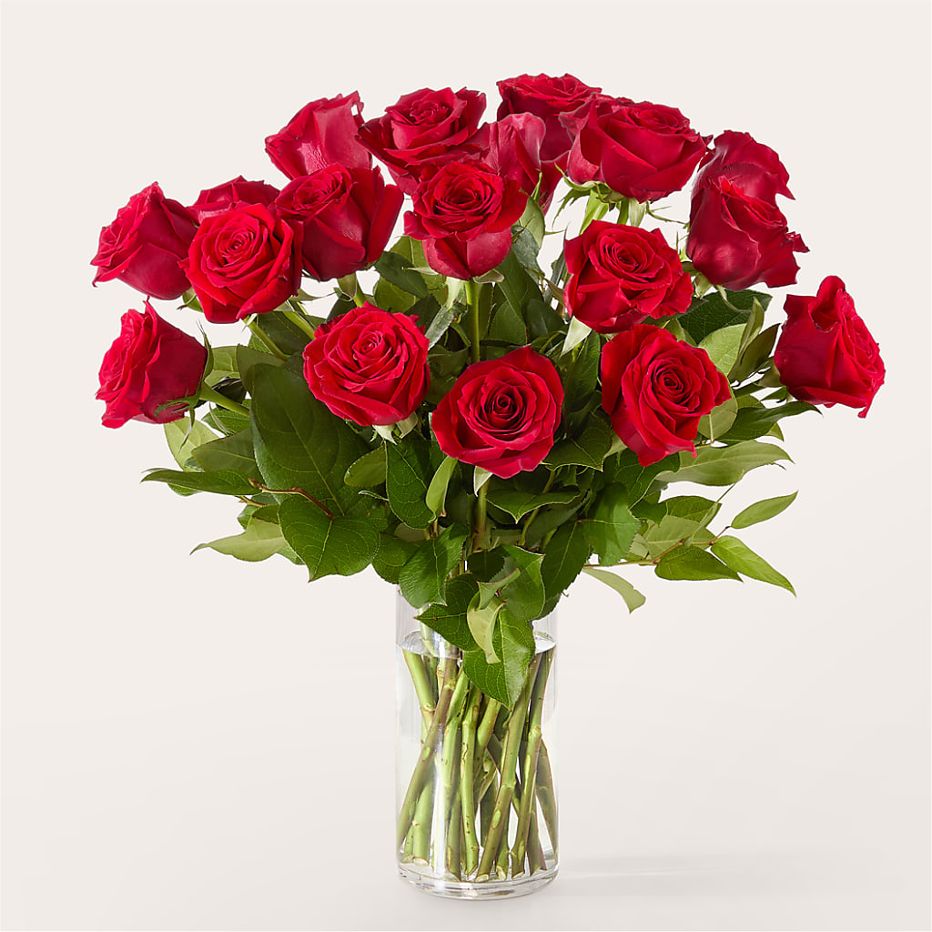 The One Red Rose Bouquet – CASSIDY'S FLOWERS, Newmarket ON