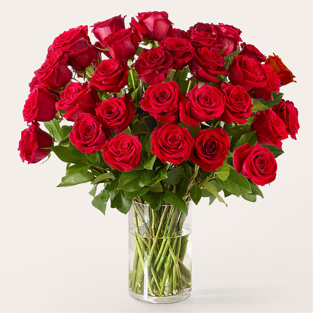 The One Red Rose Bouquet – CASSIDY'S FLOWERS, Newmarket ON