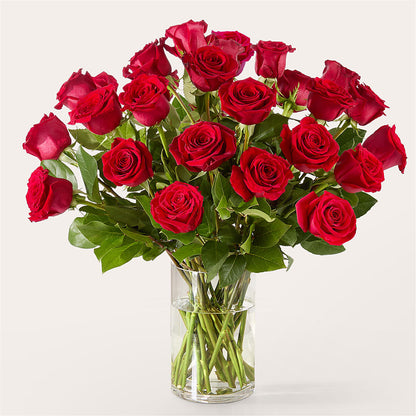 The One Red Rose Bouquet – CASSIDY'S FLOWERS, Newmarket ON