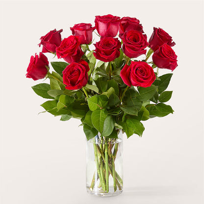 The One Red Rose Bouquet – CASSIDY'S FLOWERS, Newmarket ON