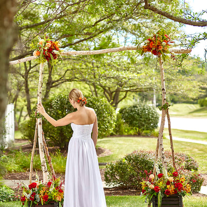 Arbor of Love Archway – CASSIDY'S FLOWERS, Newmarket ON