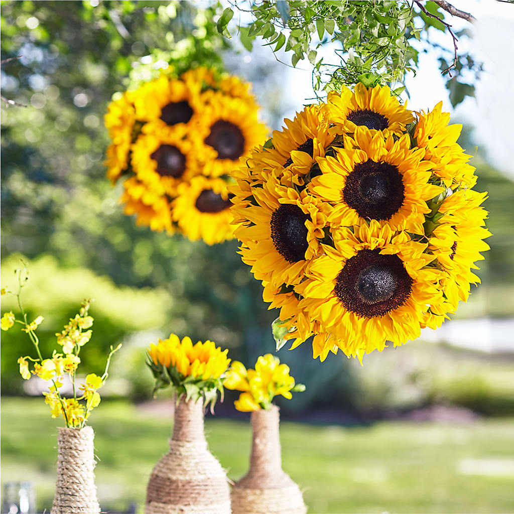 Sublime composition suspendue de jardin