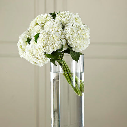 White Hydrangea Hand-Tied Bouquet – CASSIDY'S FLOWERS, Newmarket ON