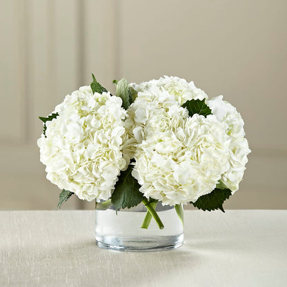 White Hydrangea Bouquet – CASSIDY'S FLOWERS, Newmarket ON