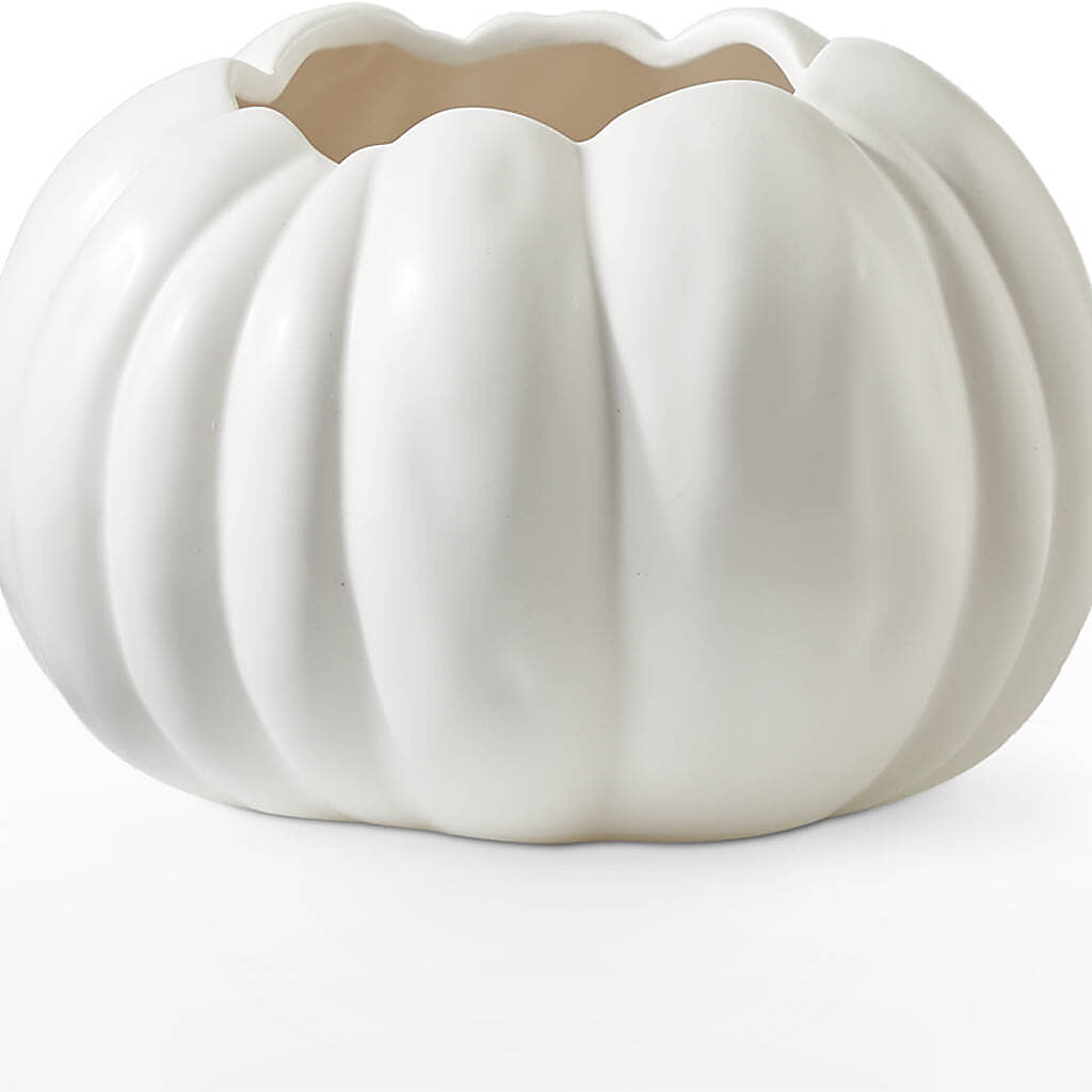 Pumpkin to Talk About Bouquet – CASSIDY'S FLOWERS, Newmarket ON