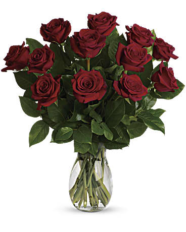 MY TRUE LOVE - ONE DOZEN RED ROSES BOUQUET